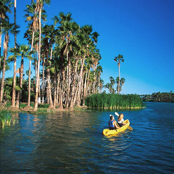 Kayak en Los Cabos